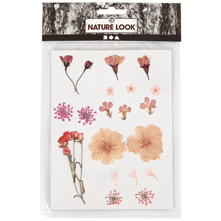 Torkade blommor och blad Ljusrosa i gruppen Skapande & Hobby / Skapa / Scrapbooking hos Pen Store (130763)