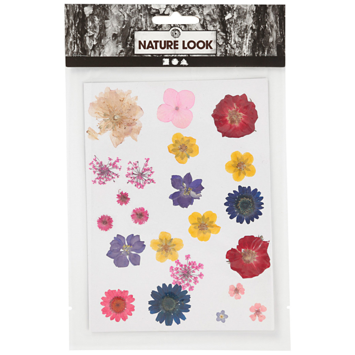 Torkade blommor och blad Mixade färger i gruppen Skapande & Hobby / Skapa / Scrapbooking hos Pen Store (130767)