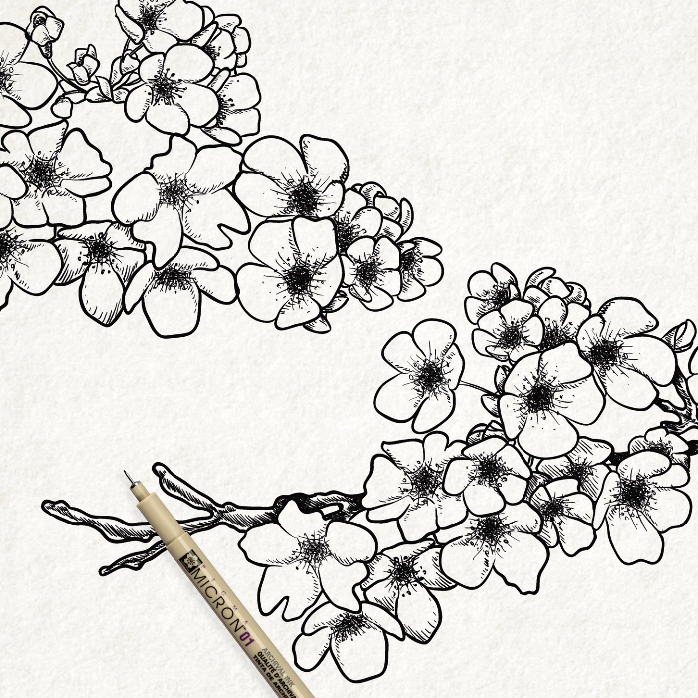 Pigma Micron Fineliner 01