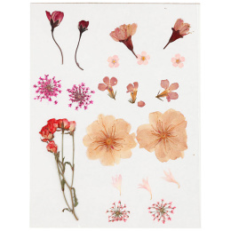Torkade blommor och blad Ljusrosa i gruppen Skapande & Hobby / Skapa / Scrapbooking hos Pen Store (130763)