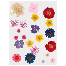 Torkade blommor och blad Mixade färger i gruppen Skapande & Hobby / Skapa / Scrapbooking hos Pen Store (130767)